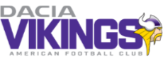Vienna Vikings Logo